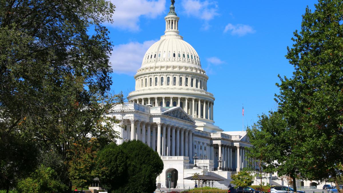 Capitol and trees